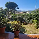 Domus Maura